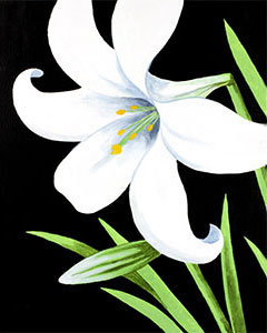 easter_lily