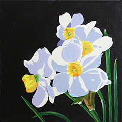 white_daffodils